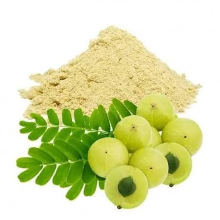 Amla fruits powder
